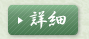 �ڍ�