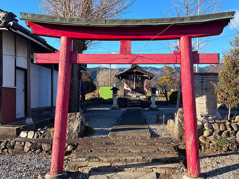 ������� �̿�