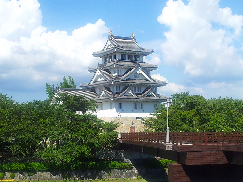 �������� �̿�