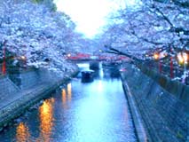 水門川3 水門川3