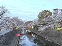 水門川１