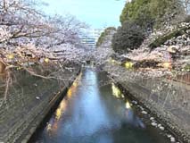 水門川３