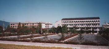 大学