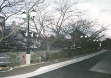 歩道照明灯（丸の内・水門川）